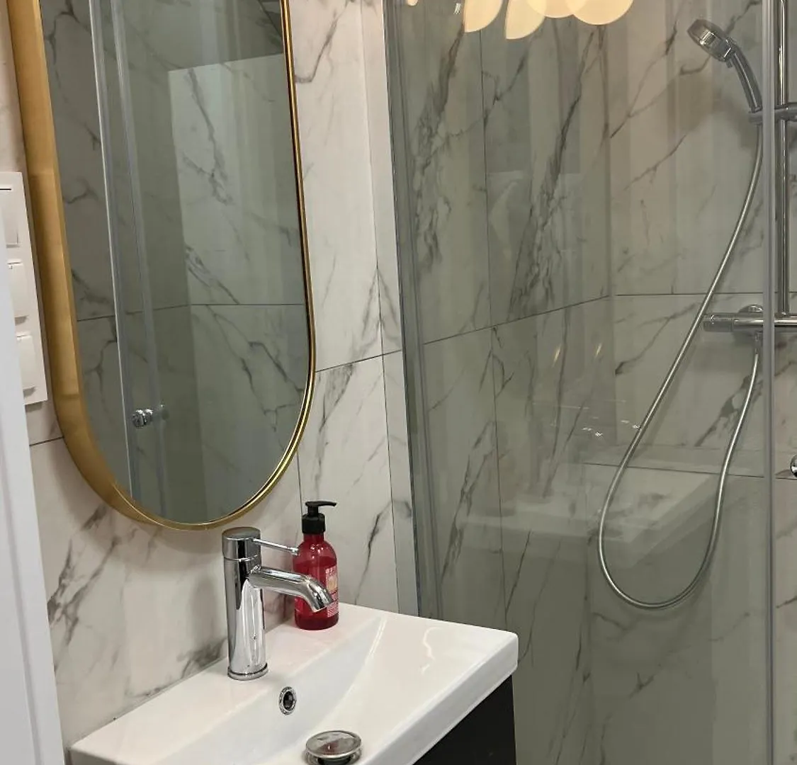 Apartament Le Coeur De La Ville Poznań